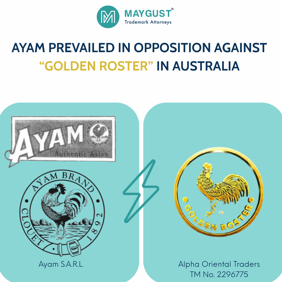 Ayam Prevailed in Opposition Against “Golden Roster” in Australia
